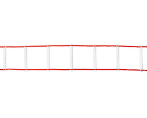 Agility ladder with bag