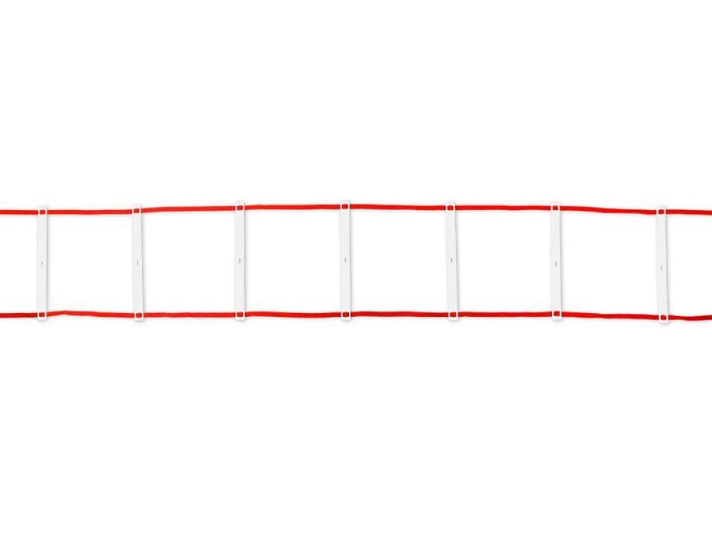 Agility ladder with bag