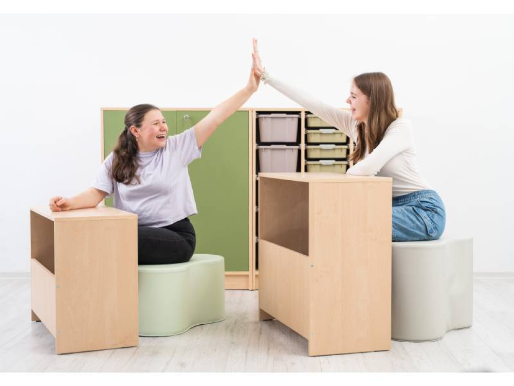 Mobiclass. Module S
