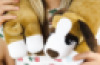 Puppy Vibrating Neck Pillow