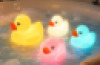Flashing Duck Family – Pack of 4