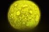Colour changing moon rock with remote