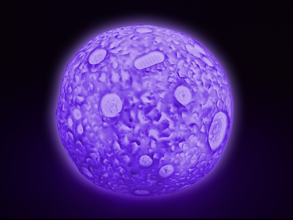 Colour changing moon rock with remote
