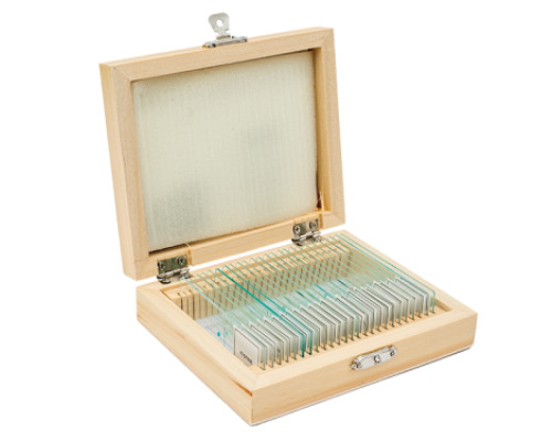 Microscope slides Botanics