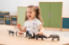 Exotic animals - Animal figures
