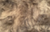 S/6 Textured Floor Tiles