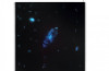 Panel Starry Sky