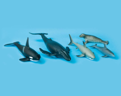 Sea animals