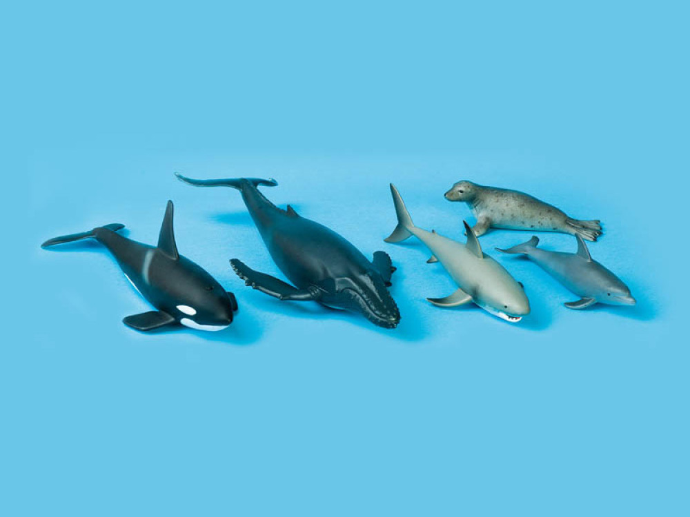 Sea animals