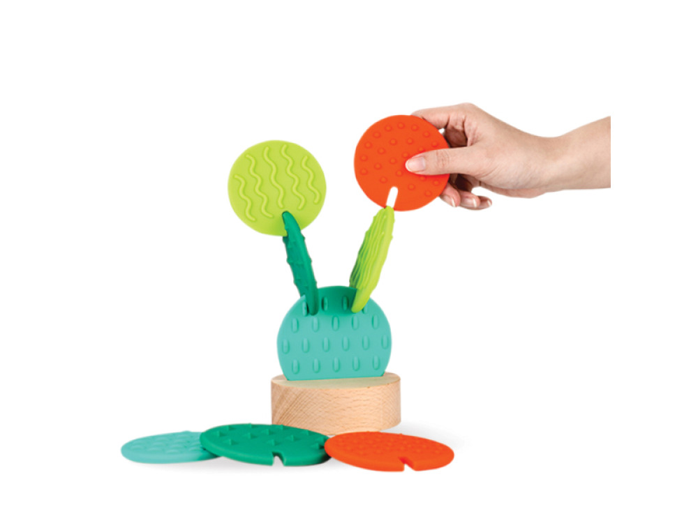 Sensory cactus