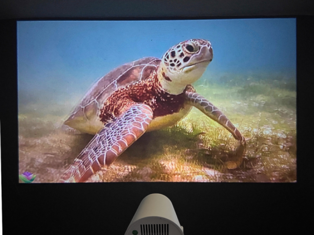 Multi Media Projector