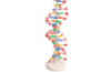 DNA model