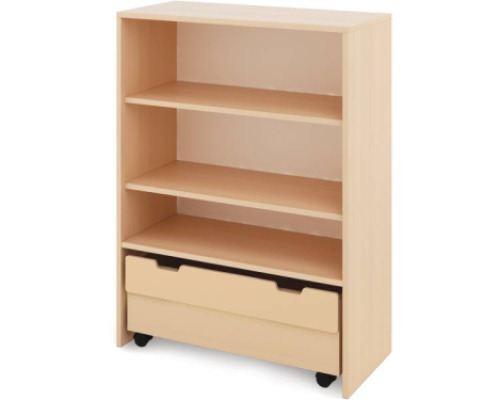 Storage Unit X with shelves + containers - Eko