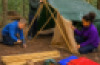 Bamboo Sticks Pack 20