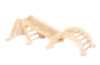 Ladder with climbing wall. Wooden gymnastics equipment