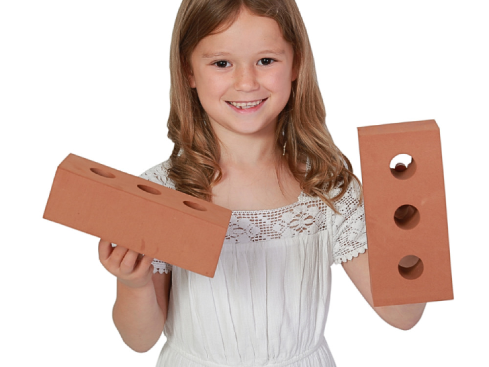 50 Piece Giant Life Size Bricks