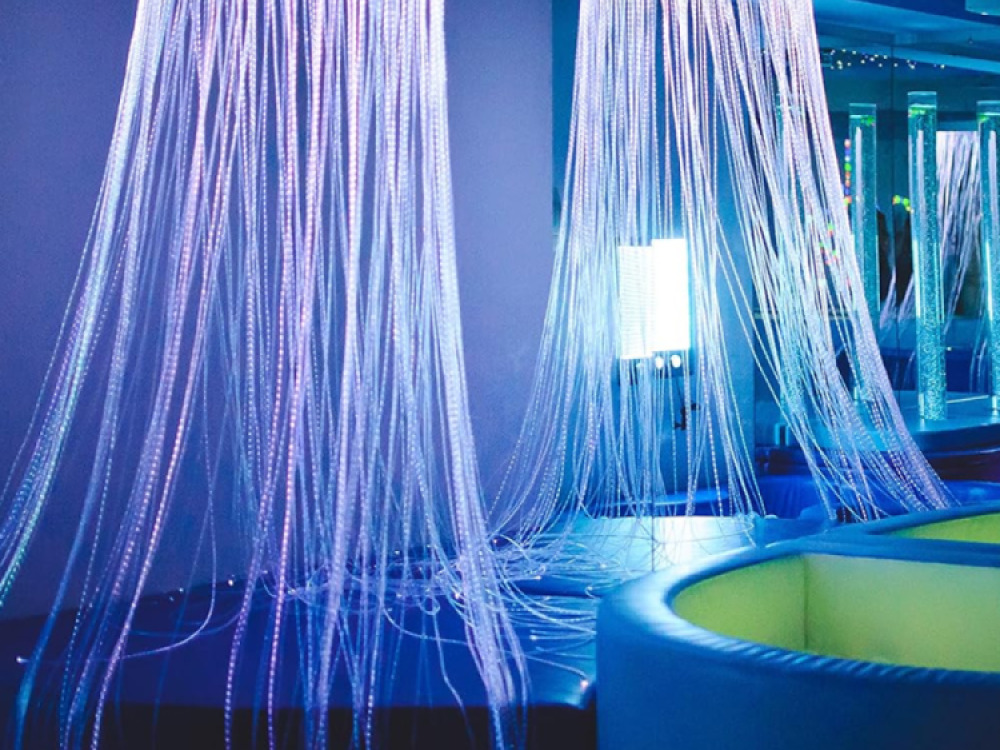Sensory Fibre Optic Curtain Ring Including Fibres and Light Source
