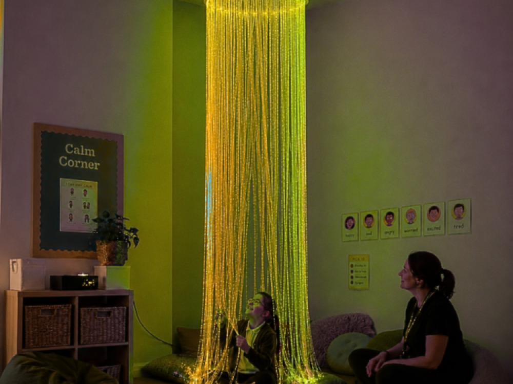 Sensory Fibre Optic Curtain Ring Including Fibres and Light Source