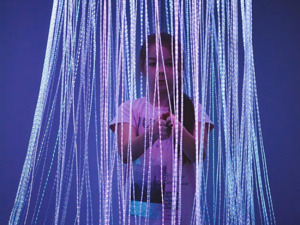 Sensory Fibre Optic Curtain Ring Including Fibres and Light Source