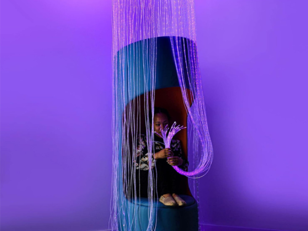 Sensory Fibre Optic Curtain Ring Including Fibres and Light Source