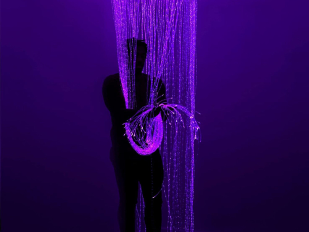 Sensory Fibre Optic Curtain Ring Including Fibres and Light Source