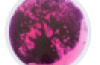 Round Liquid Floor Tiles – 4 Colours