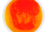 Round Liquid Floor Tiles – 4 Colours