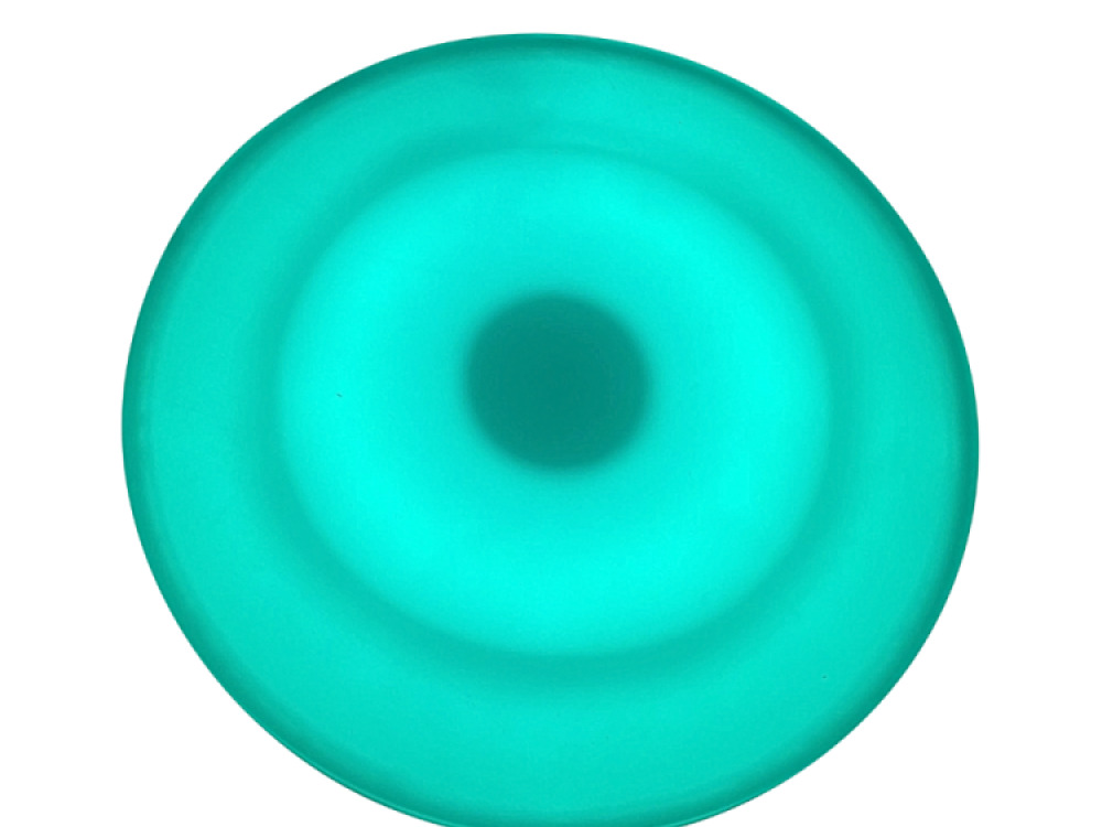 Interactive Round Floor Tile (30cm) incl. Adaptor