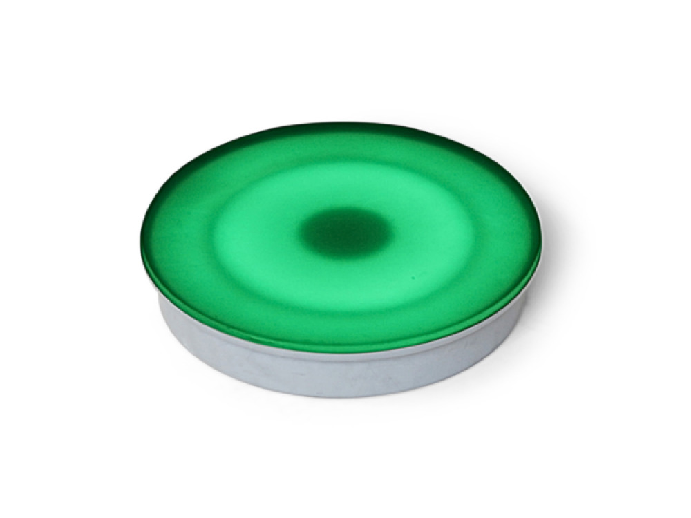 Interactive Round Floor Tile (30cm) incl. Adaptor