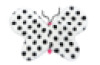 Butterfly Tactile Weighted Pad