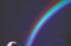 Rainbow Light