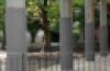 Pillar Wall Guard Ribbing
