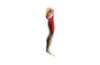 Human leg muscular system. Demonstration model