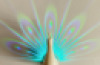 Peacock Projector