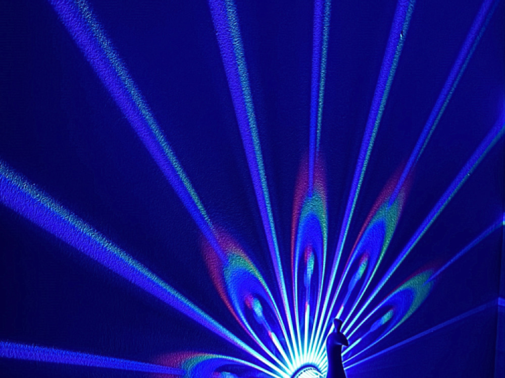 Peacock Projector
