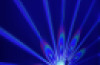Peacock Projector