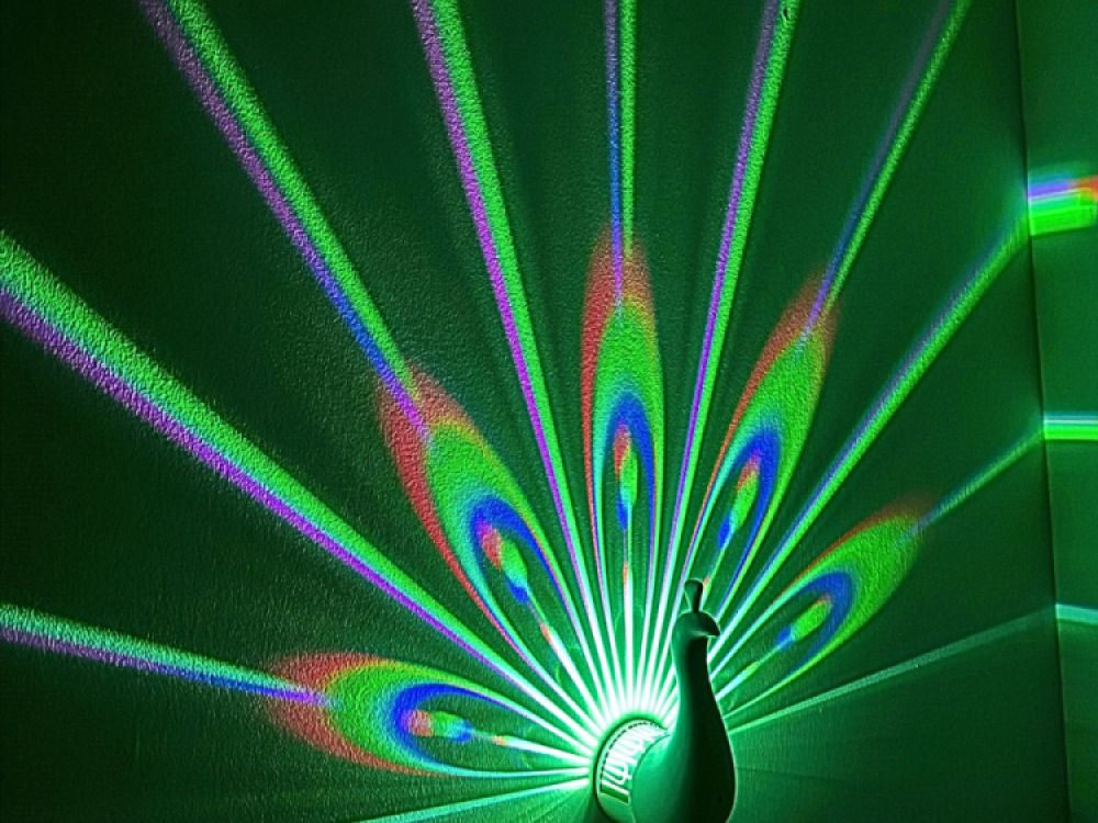 Peacock Projector