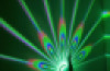 Peacock Projector
