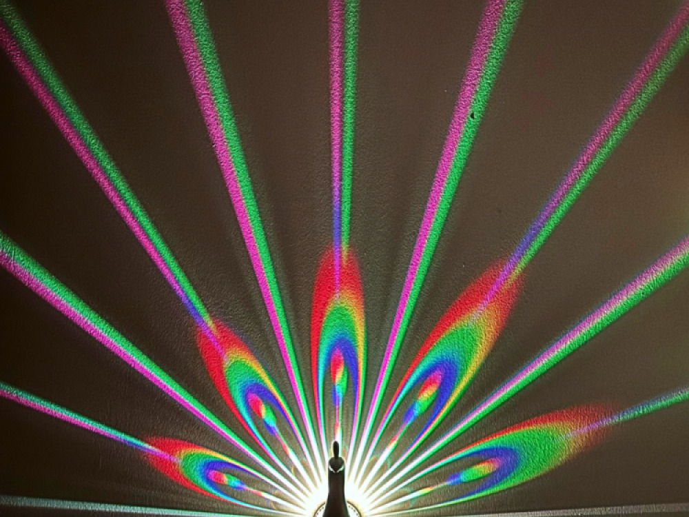 Peacock Projector