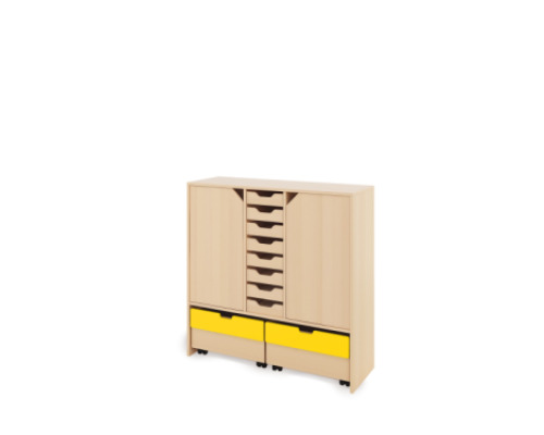 Storage Unit X with shelves and doors + shallow cardboard trays & container - Eko
