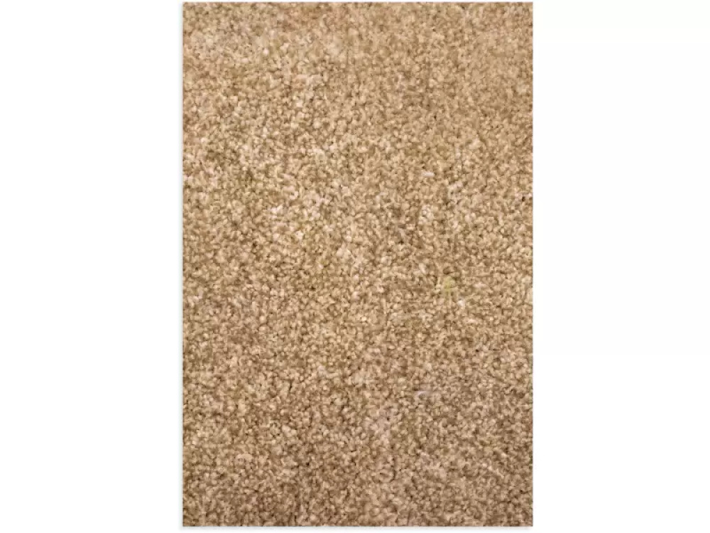 Carpet light beige heat set frise 4x5