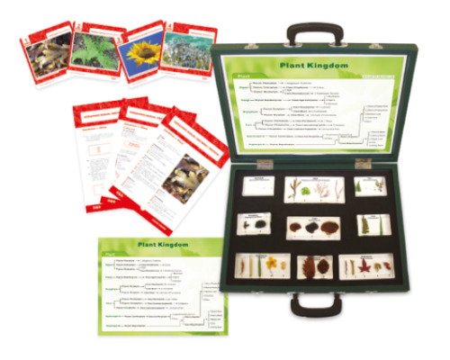 Kingdom of Plantae, Fungi and Algae. The suitcase with teaching aids, worksheets and lesson scenarios