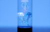 Jellyfish Tank Round Black (USB Powered)