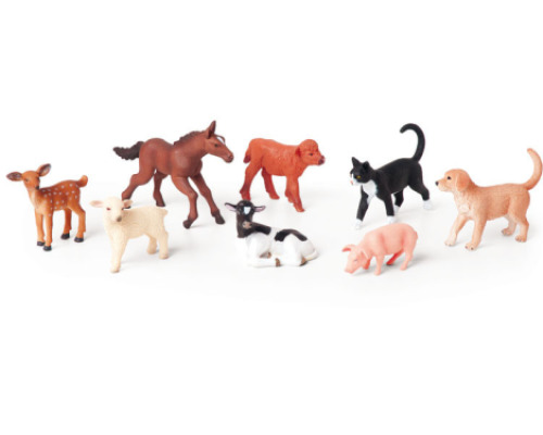 Baby animals