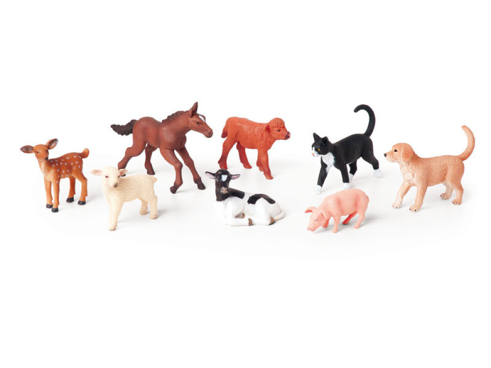 Baby animals
