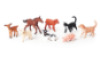 Baby animals
