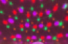Disco Ball Speakers