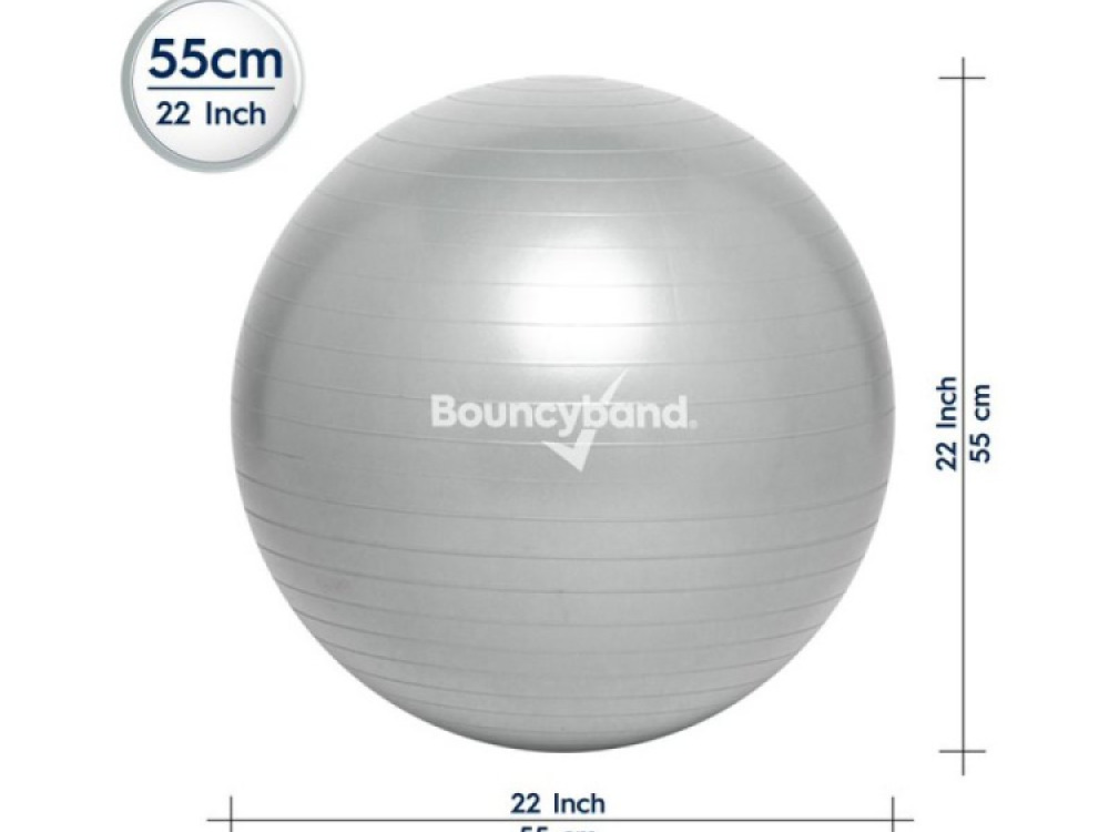 Weighted Ball Seat 55cm Silver. Kids/Adults 55cm – By Bouncyband