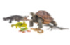 Reptiles - animal figurines