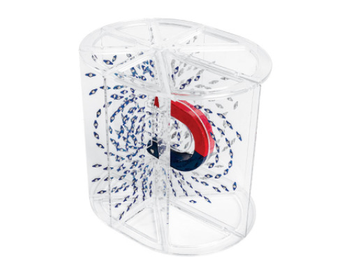 Magnetic field lines